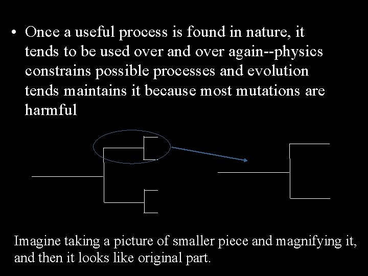  • Once a useful process is found in nature, it tends to be