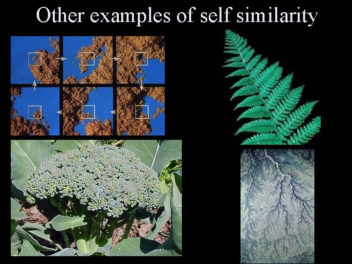 Other examples of self similarity 