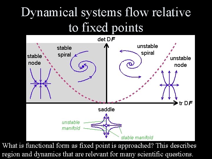 Dynamical systems flow relative to fixed points What is functional form as fixed point