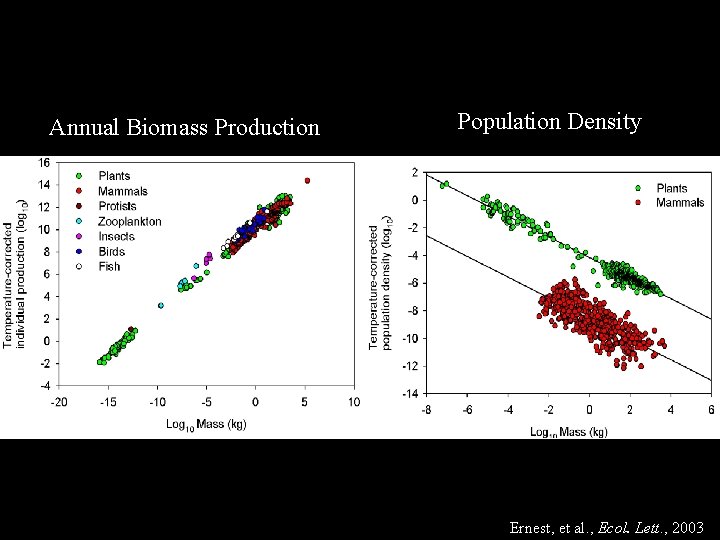 Annual Biomass Production Population Density Ernest, et al. , Ecol. Lett. , 2003 