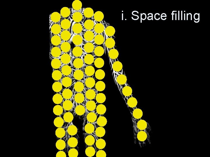 i. Space filling 
