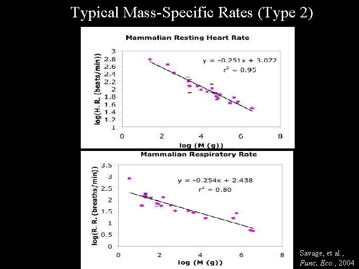 Typical Mass-Specific Rates (Type 2) Savage, et al. , Func. Eco. , 2004 