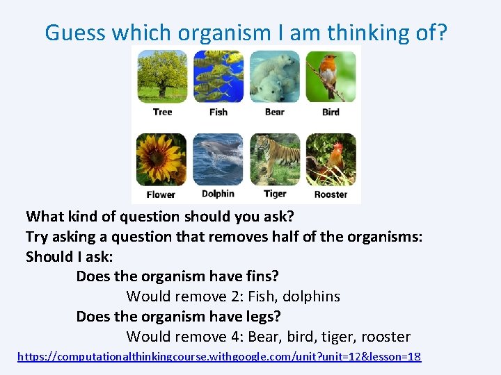 Guess which organism I am thinking of? What kind of question should you ask?