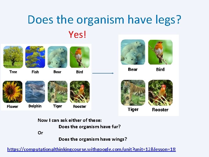 Does the organism have legs? Yes! Now I can ask either of these: Does