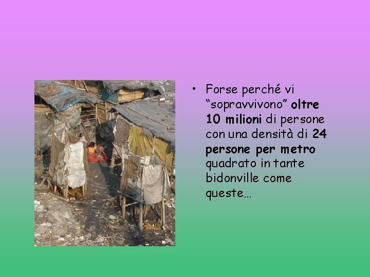  • Forse perché vi “sopravvivono” oltre 10 milioni di persone con una densità