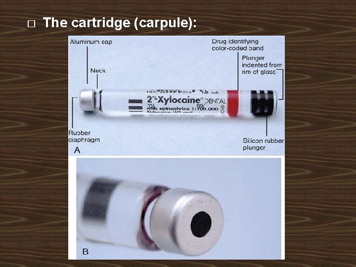 � The cartridge (carpule): � The cartridge (carpule):