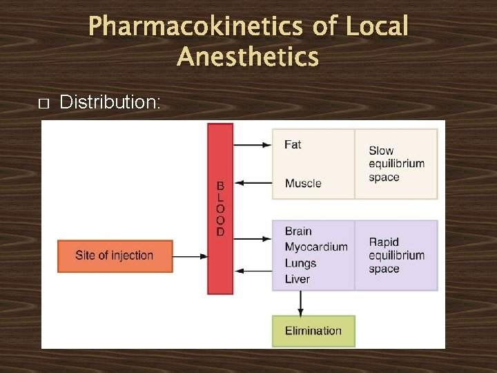 Pharmacokinetics of Local Anesthetics � Distribution: Pharmacokinetics of Local Anesthetics � Distribution: