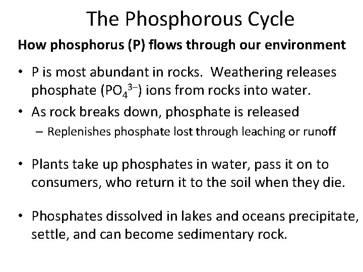 The Phosphorous Cycle How phosphorus (P) flows through our environment • P is most