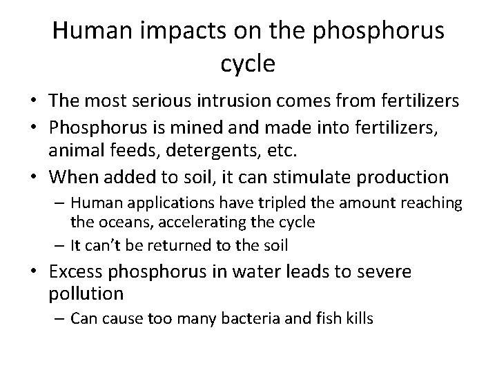 Human impacts on the phosphorus cycle • The most serious intrusion comes from fertilizers
