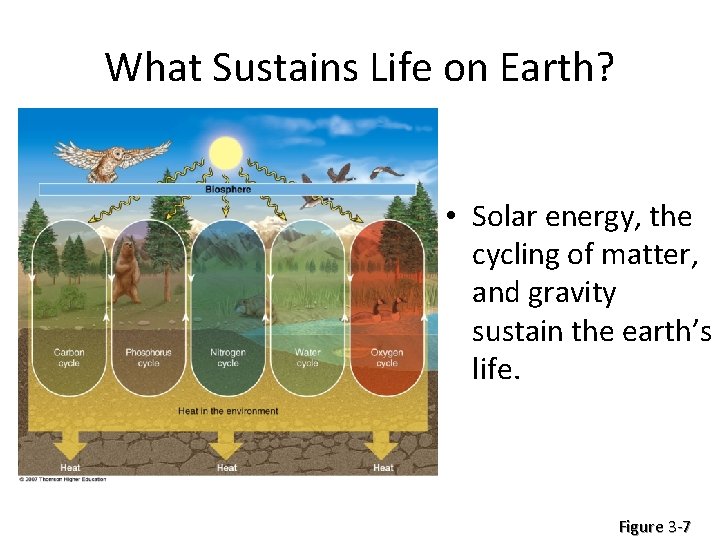 What Sustains Life on Earth? • Solar energy, the cycling of matter, and gravity