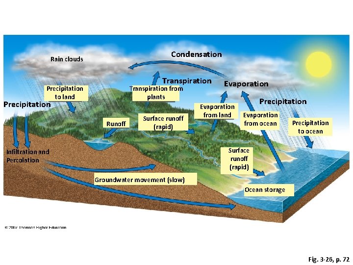 Condensation Rain clouds Transpiration Precipitation to land Transpiration from plants Precipitation Runoff Surface runoff