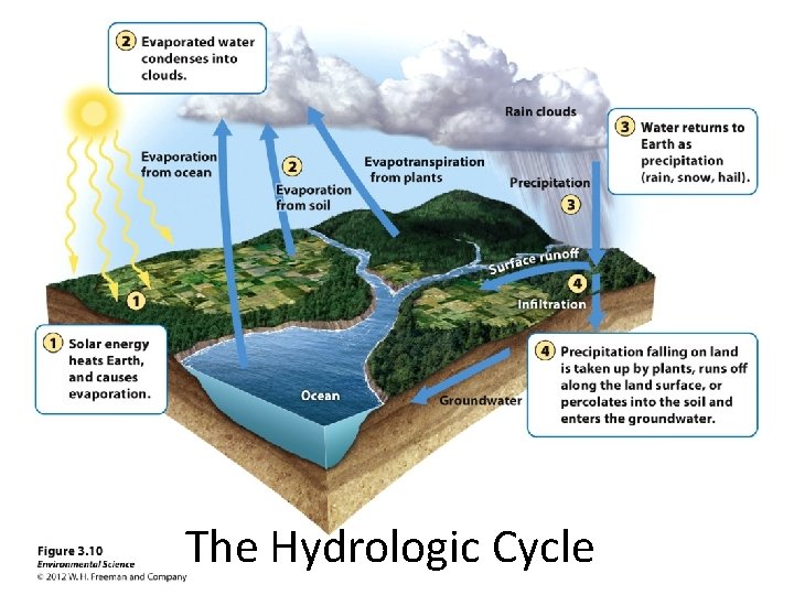 The Hydrologic Cycle 