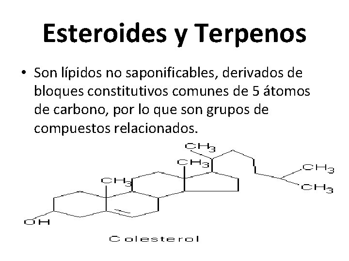 Esteroides y Terpenos • Son lípidos no saponificables, derivados de bloques constitutivos comunes de
