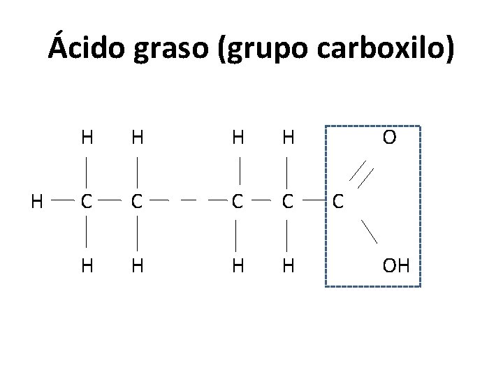 Ácido graso (grupo carboxilo) H H H C C H H O C OH