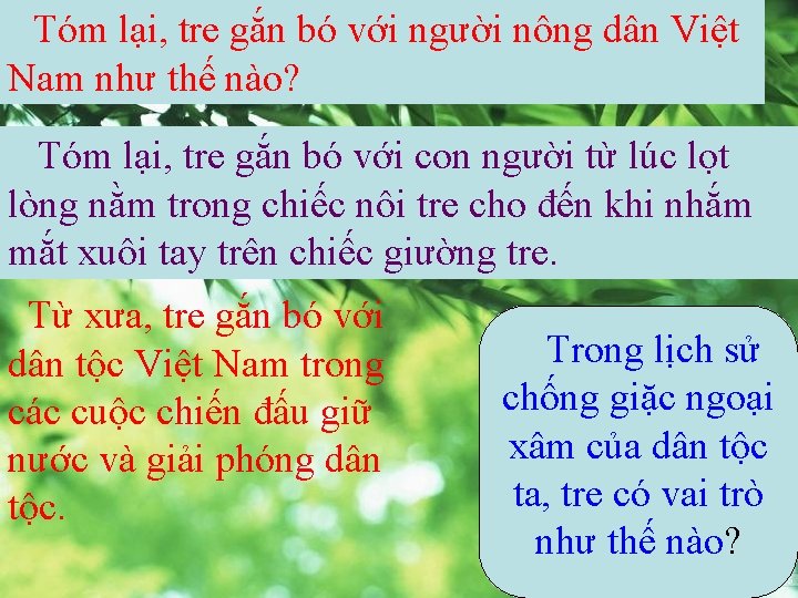 Tóm lại, tre gắn bó với người nông dân Việt Nam như thế nào?