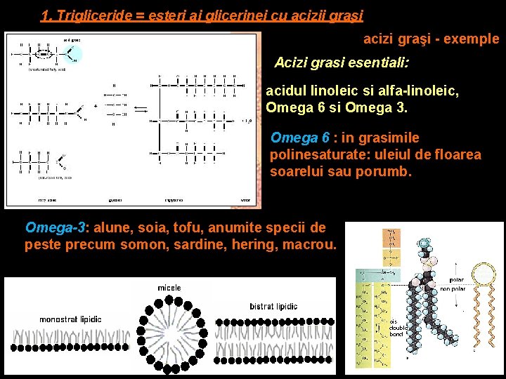 1. Trigliceride = esteri ai glicerinei cu acizii graşi acizi graşi - exemple Acizi