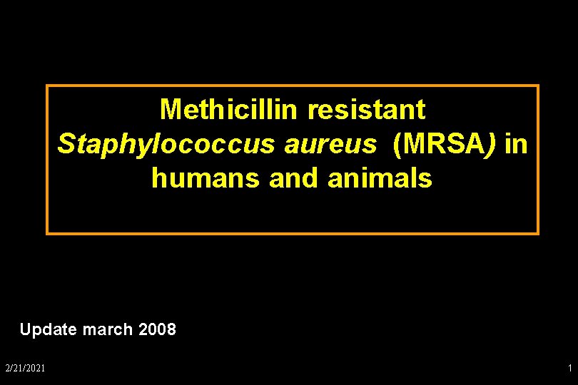 Methicillin resistant Staphylococcus aureus (MRSA) in humans and animals Update march 2008 2/21/2021 1