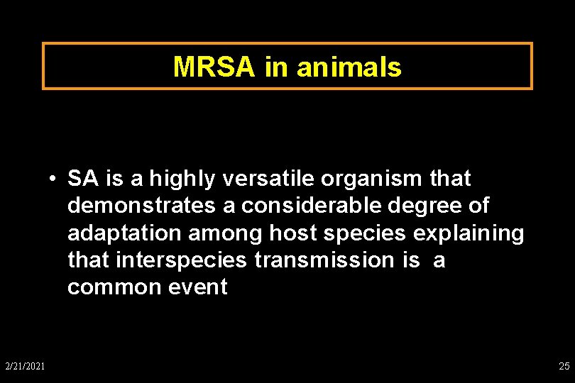 MRSA in animals • SA is a highly versatile organism that demonstrates a considerable