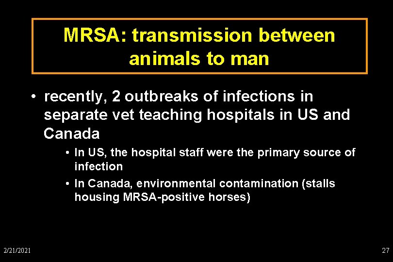 MRSA: transmission between animals to man • recently, 2 outbreaks of infections in separate
