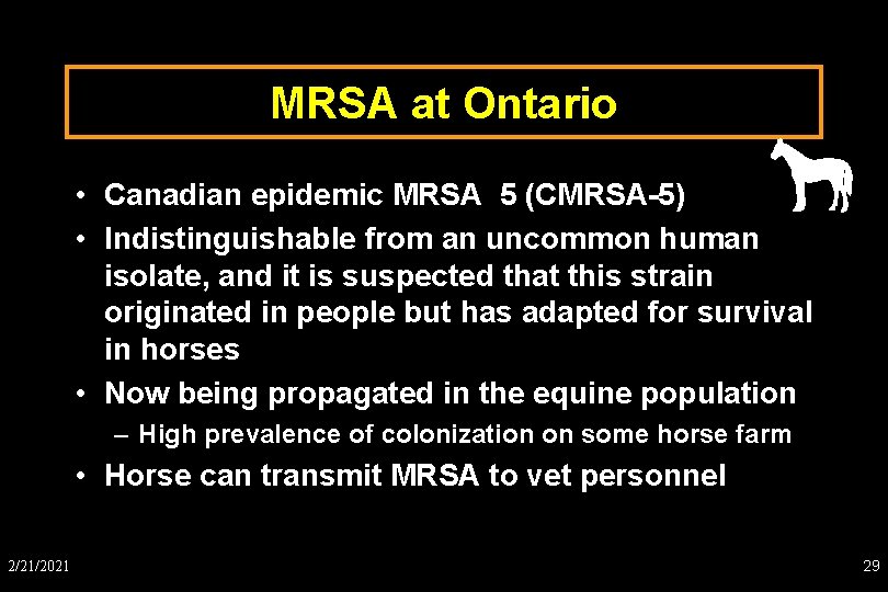 MRSA at Ontario • Canadian epidemic MRSA 5 (CMRSA-5) • Indistinguishable from an uncommon