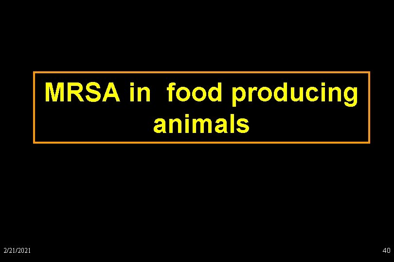 MRSA in food producing animals 2/21/2021 40 