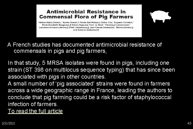 A French studies has documented antimicrobial resistance of commensals in pigs and pig farmers,