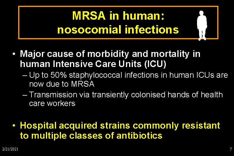 MRSA in human: nosocomial infections • Major cause of morbidity and mortality in human