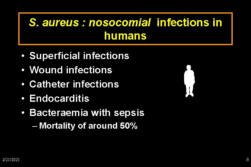 S. aureus : nosocomial infections in humans • • • Superficial infections Wound infections