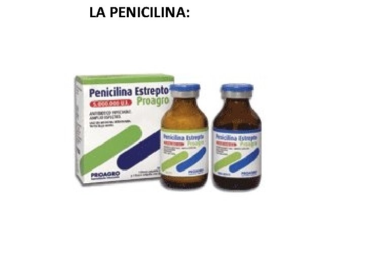 LA PENICILINA: 