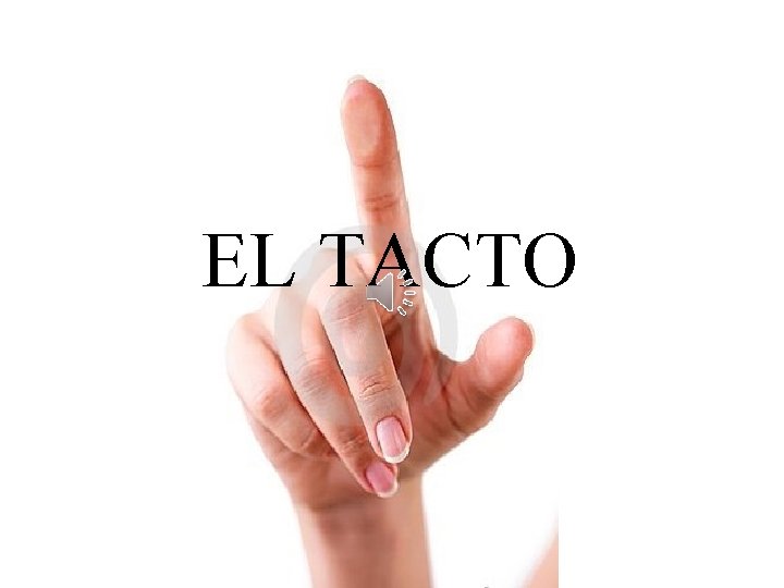 EL TACTO 