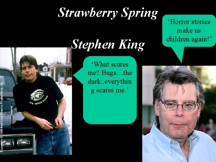 Strawberry Spring Stephen King ‘What scares me? Bugs…the dark. . everythin g scares me.