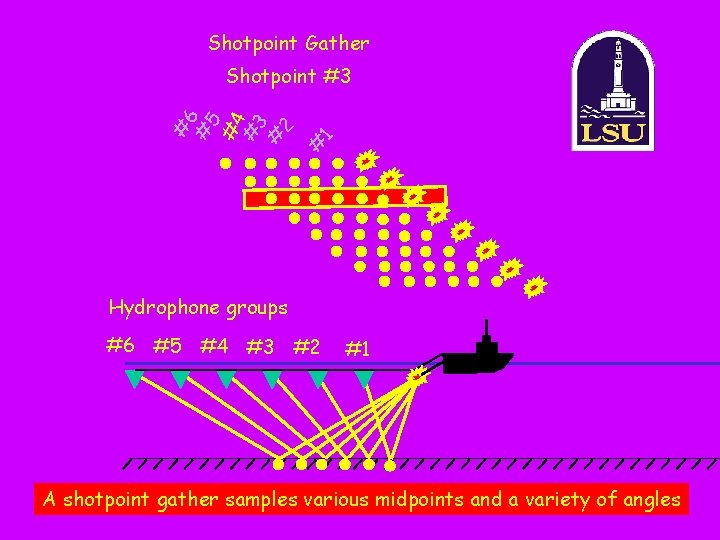 Shotpoint Gather 1 # #6 # 5 #4 # 3 # 2 Shotpoint #3