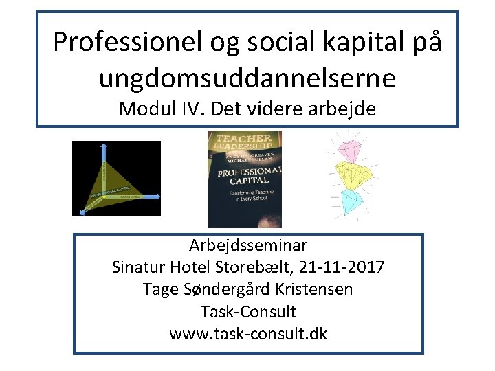 Professionel og social kapital på ungdomsuddannelserne Modul IV. Det videre arbejde Arbejdsseminar Sinatur Hotel