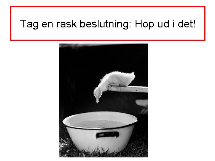 Tag en rask beslutning: Hop ud i det! 