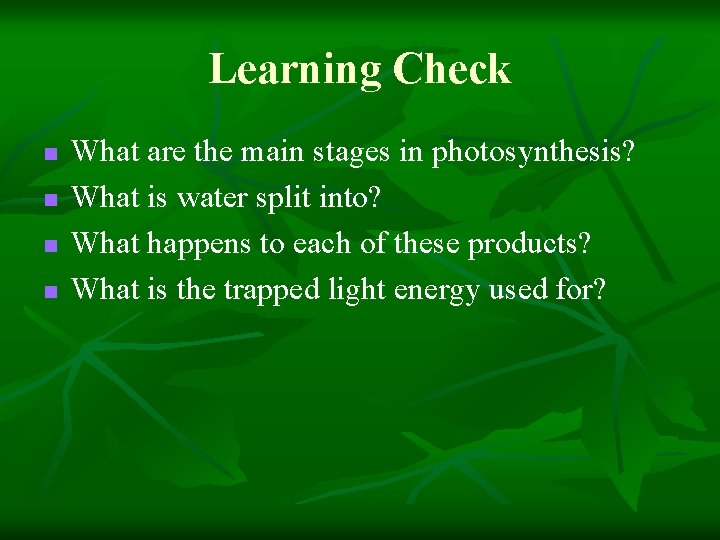 Learning Check n n What are the main stages in photosynthesis? What is water
