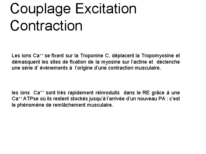 Couplage Excitation Contraction Les ions Ca++ se fixent sur la Troponine C, déplacent la Couplage Excitation Contraction Les ions Ca++ se fixent sur la Troponine C, déplacent la