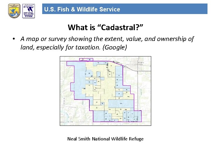 U. S. Fish & Wildlife Service What is “Cadastral? ” • A map or