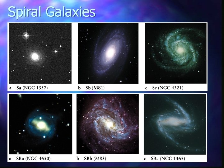 Spiral Galaxies 