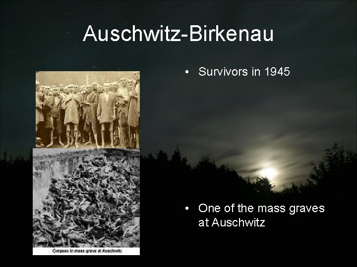 Auschwitz-Birkenau • Survivors in 1945 • One of the mass graves at Auschwitz 