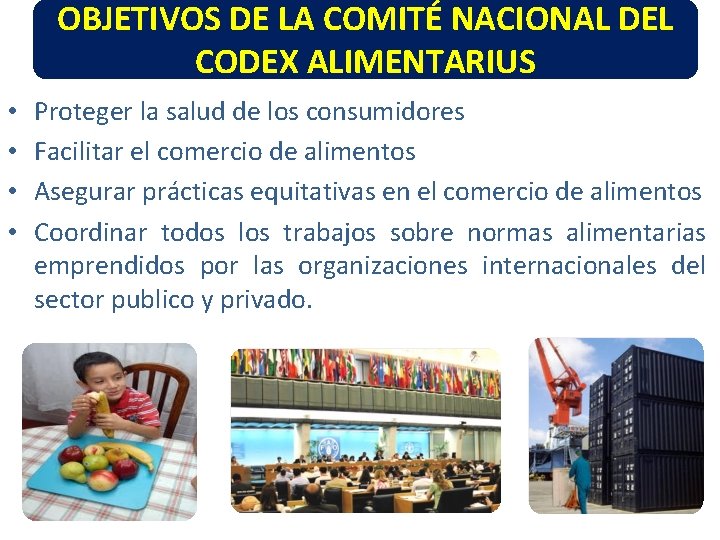 OBJETIVOS DE LA COMITÉ NACIONAL DEL CODEX ALIMENTARIUS • • Proteger la salud de OBJETIVOS DE LA COMITÉ NACIONAL DEL CODEX ALIMENTARIUS • • Proteger la salud de