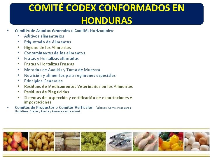 COMITÉ CODEX CONFORMADOS EN HONDURAS • Comités de Asuntos Generales o Comités Horizontales: • COMITÉ CODEX CONFORMADOS EN HONDURAS • Comités de Asuntos Generales o Comités Horizontales: •