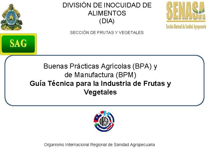 DIVISIÓN DE INOCUIDAD DE ALIMENTOS (DIA) SECCIÓN DE FRUTAS Y VEGETALES Buenas Prácticas Agrícolas
