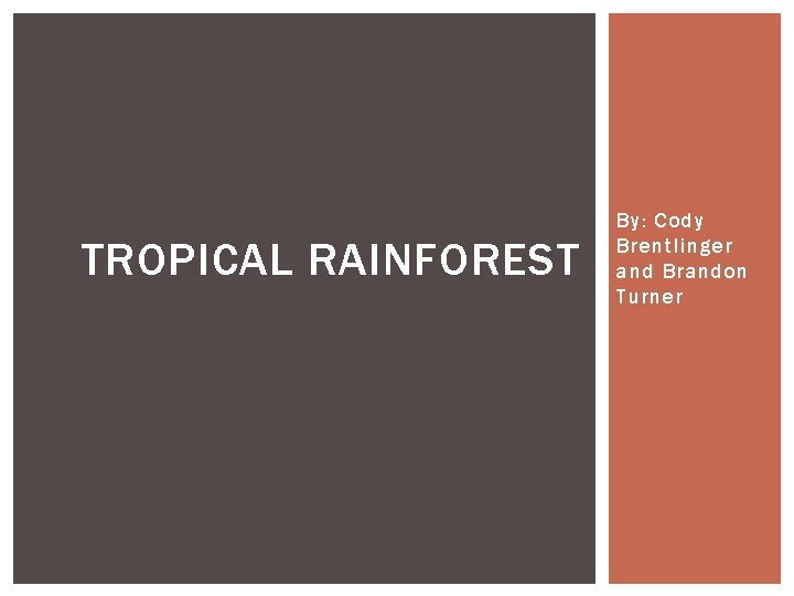 TROPICAL RAINFOREST By: Cody Brentlinger and Brandon Turner 