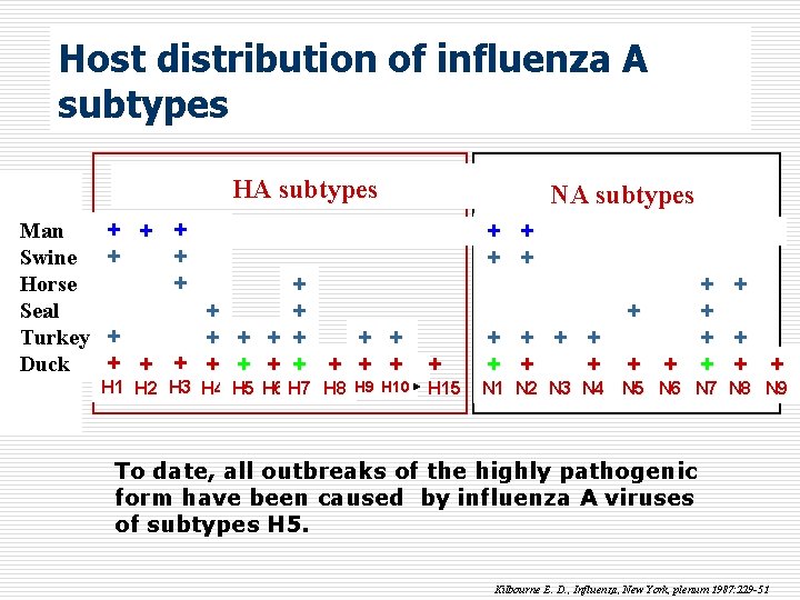 Host distribution of influenza A subtypes HA subtypes Man Swine Horse Seal Turkey Duck