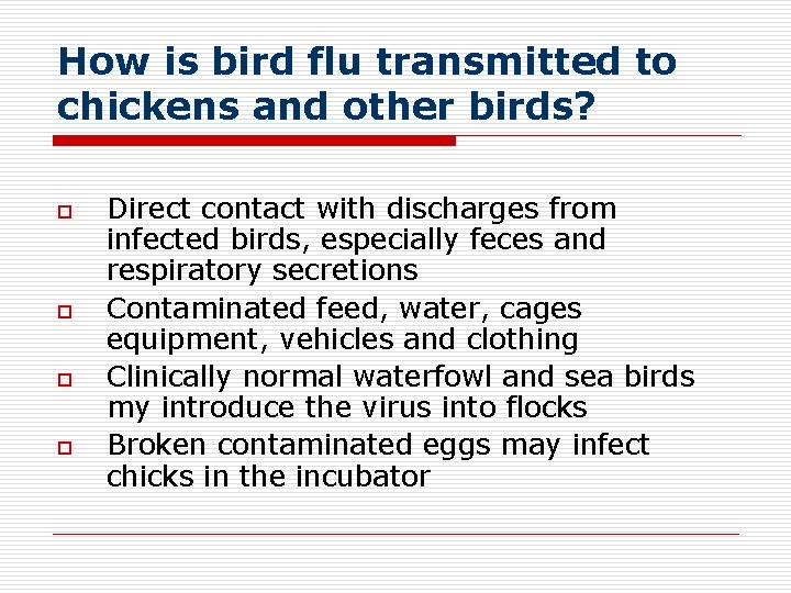 How is bird flu transmitted to chickens and other birds? o o Direct contact