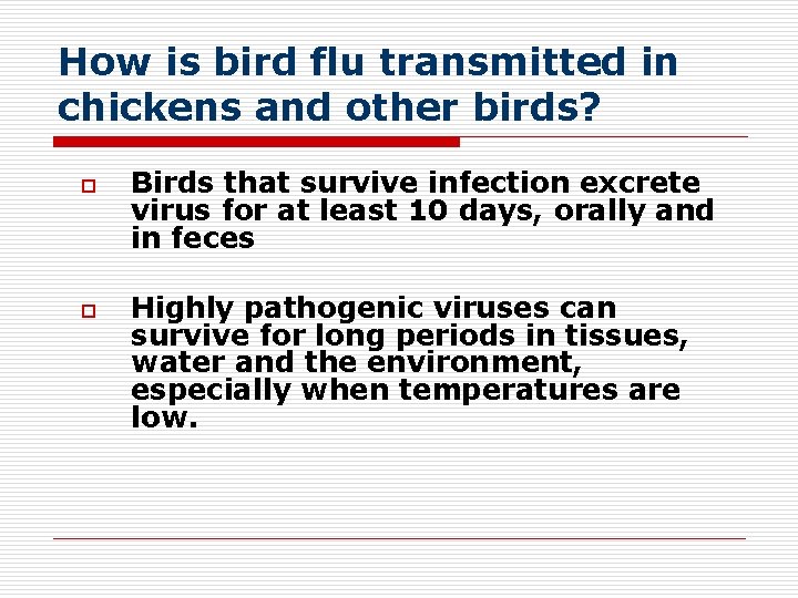How is bird flu transmitted in chickens and other birds? o o Birds that