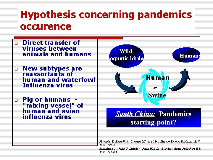 Hypothesis concerning pandemics occurence o o o Direct transfer of viruses between animals and