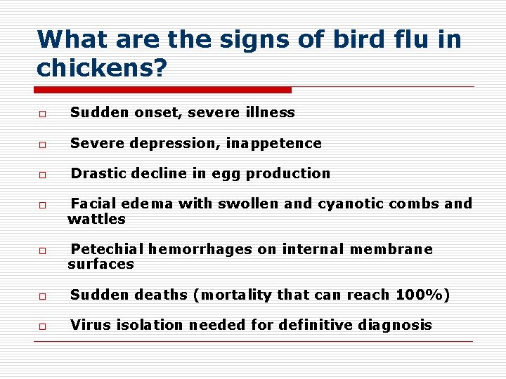 What are the signs of bird flu in chickens? o Sudden onset, severe illness