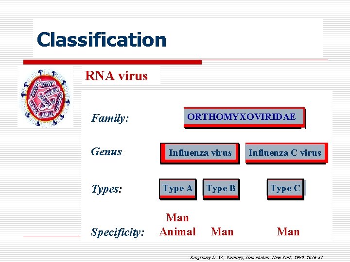 Classification RNA virus Family: Genus: Types: Specificity: ORTHOMYXOVIRIDAE Influenza virus Influenza C virus Type