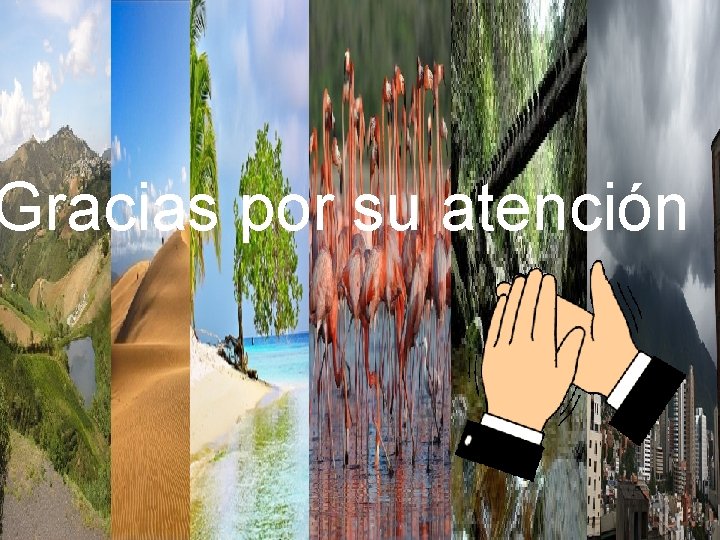 Gracias por su atención 